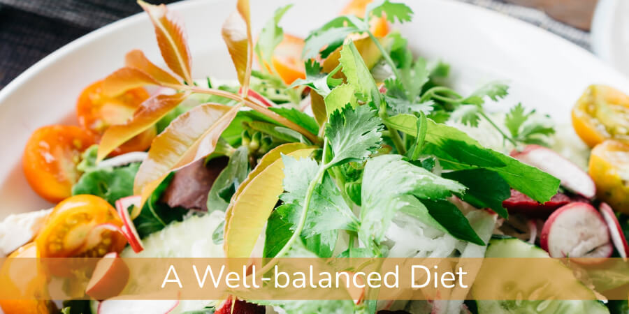 A Well-balanced Diet
